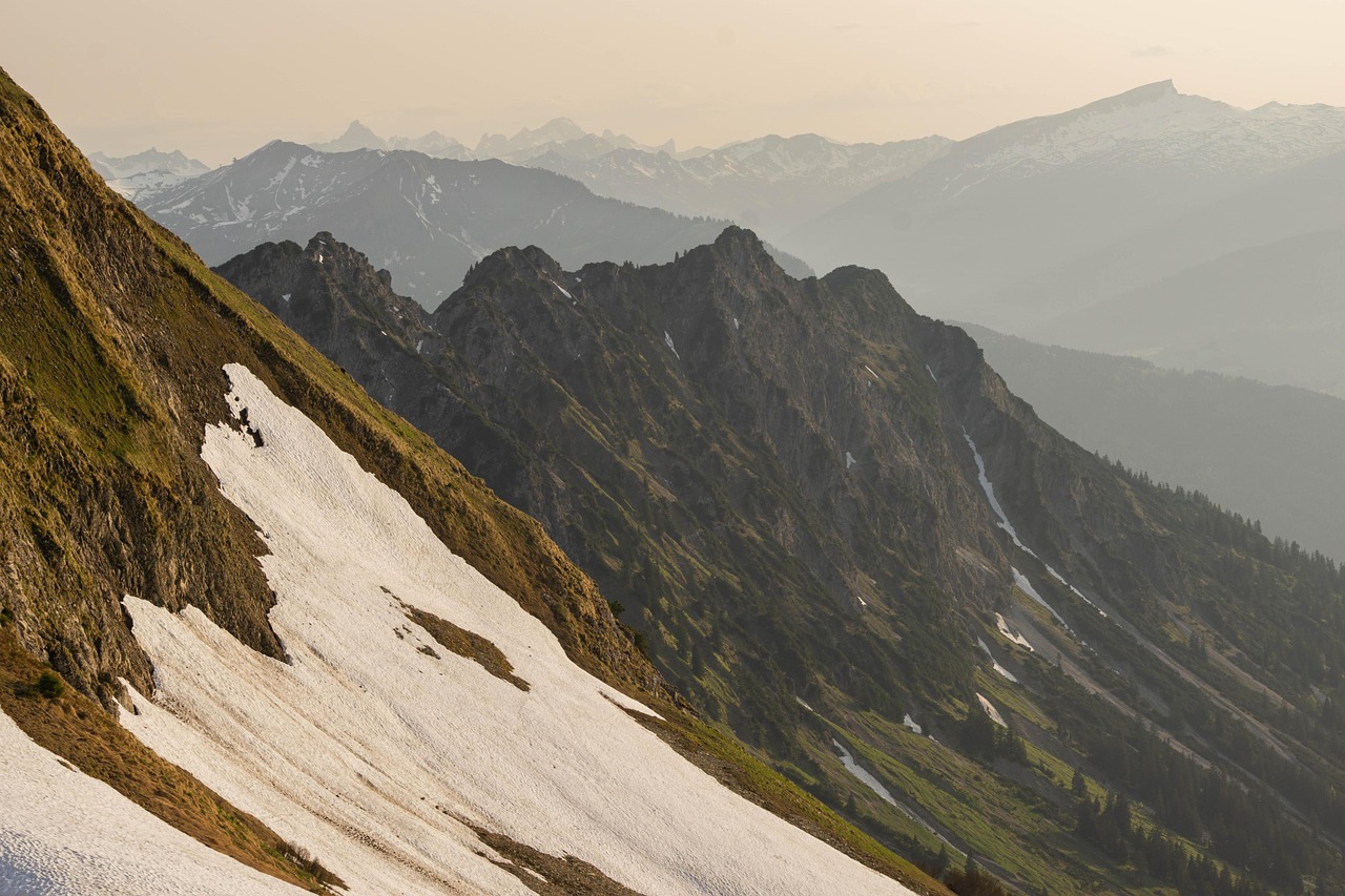无嘴黄骆驼:辉县代理商标注册
