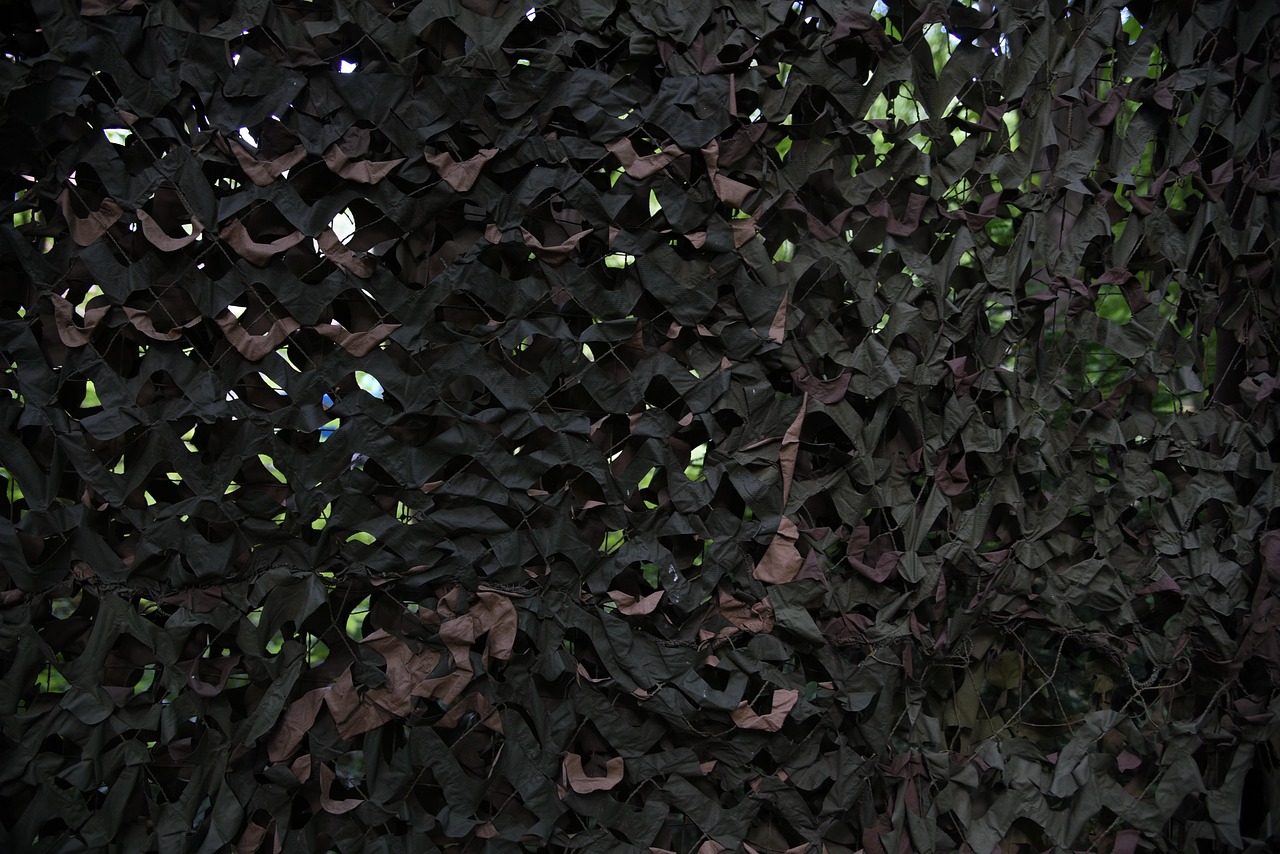 海豚之星金牛区企业注册代理价格