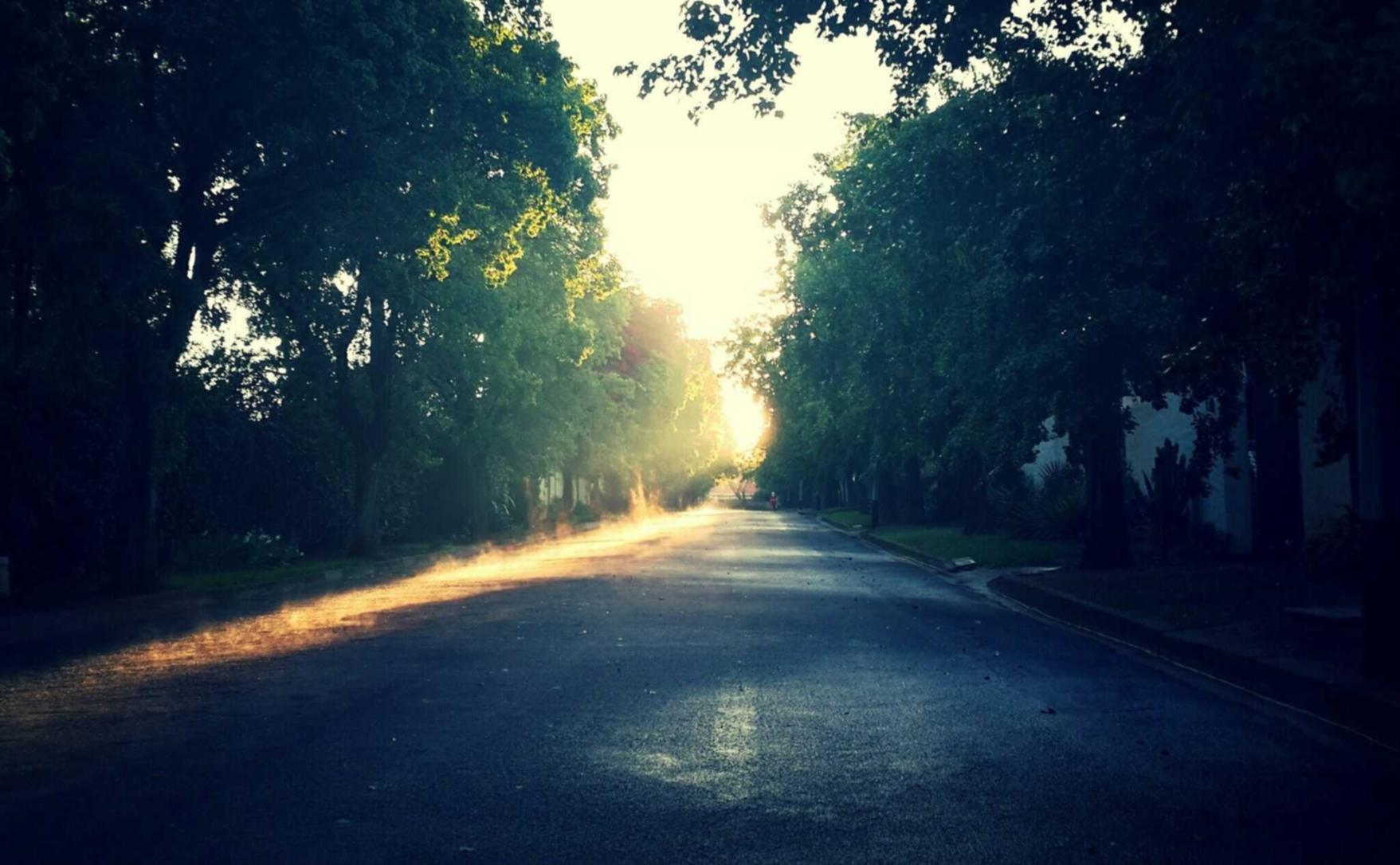 金牛3苹果不用app怎么详情下载教程软件