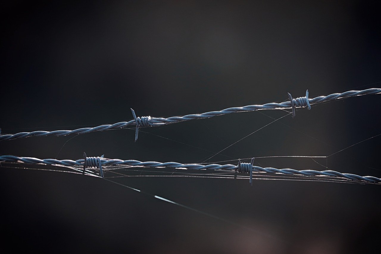 修仙在云端辅助- 雨花客厅商标注册代理公司