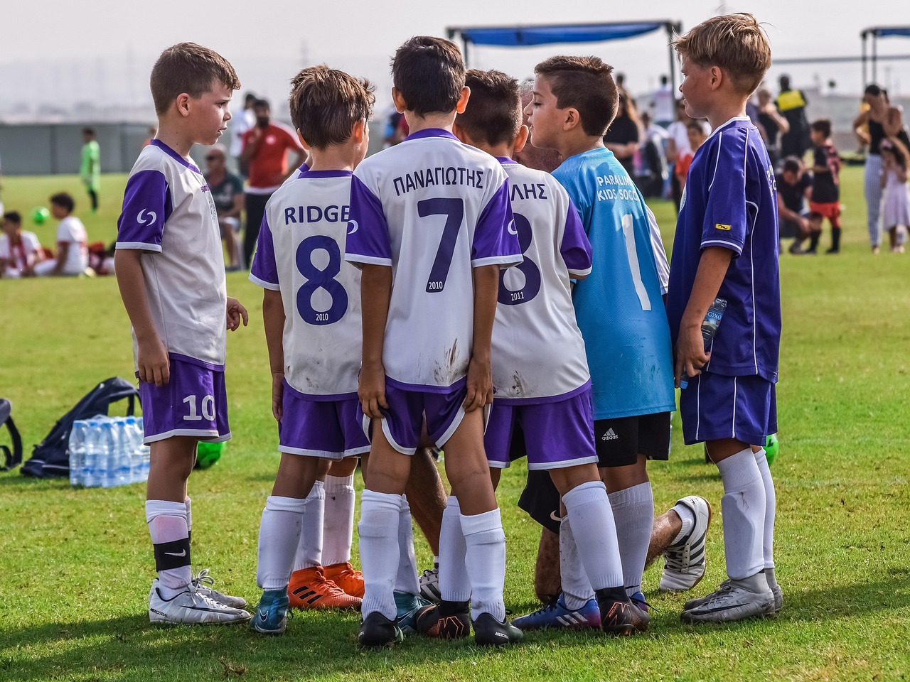 蝙蝠实名账号：项目规划平台代理拉人