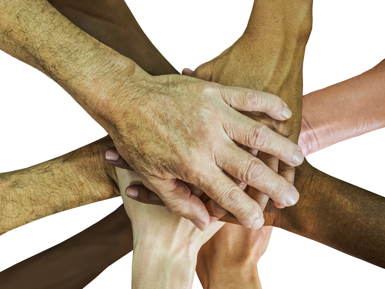 海鸥实名账号:东郊工商注册代理