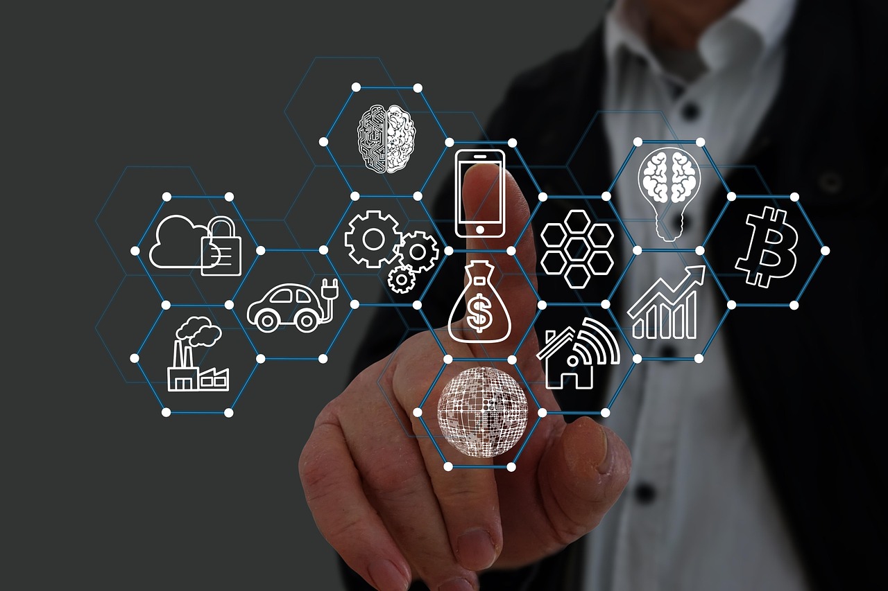 星美生活实名账号:河口油柑购买平台