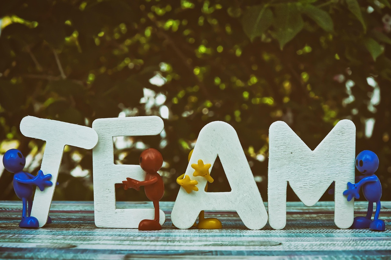 博猫游戏2网络平台区域代理合同模板