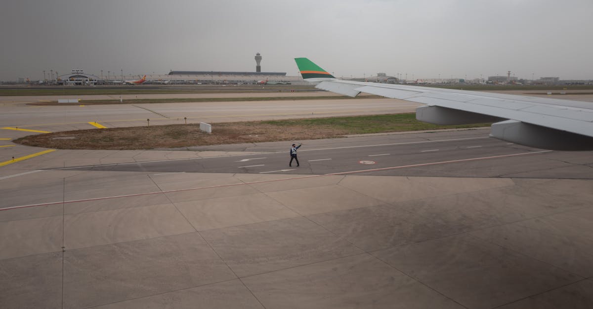 方盒绿大熊猫:流量在线购买平台